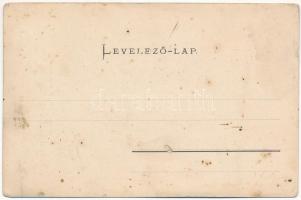 Barót, Baraolt; Sólyom Gyula faszeg gyára. Incze Gyula kiadása / wood nail factory (fl)