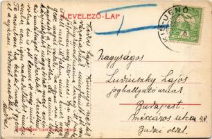 Kisjenő, Chisineu-Cris; vasúti indóház, vasútállomás, vonat. Messzer Lipót kiadása / railway station...