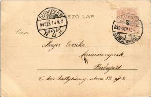 1899 (Vorläufer) Temesvár, Timisoara; Józsefváros, Küttel tér. Corvina könyvkereskedés / Iosefin, sq...