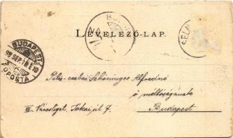 1898 (Vorläufer) Selmecbánya, Banská Stiavnica; M. kir. bányászati és erdészeti akadémia, Kálváriahe...