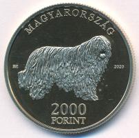 2020. 2000Ft Cu-Ni-Zn "Komondor" T:P Adamo EM411