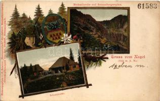 Negoj-csúcs, Negoi (Fogarasi-havasok (Fogarasi Kárpátok), Fogarascher Karpathen, Muntii Fagarasului); Schutzhütte, Michaelisruhe und Reissenbergerspitze / menedékház / turist house, chalet. Herausgegeben v. d. Sektion "Hermannstadt" des siebenb. Karpathenvereins. Jos. Drotleff. Art Nouveau, coat of arms, pine cone. litho
