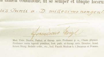 1919 Johan Hugó (1890 - 1951) festőművész, (aki eredetileg gyógyszerészként végzett) gyógyszerész di...