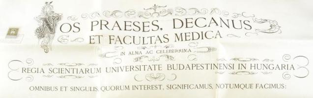 1919 Johan Hugó (1890 - 1951) festőművész, (aki eredetileg gyógyszerészként végzett) gyógyszerész di...