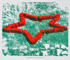 A Pécsi Műhely nagy képeskönyve. A Pécsi Műhely két tagja, Kismányoki Károly (1943-2018) és Szíjártó...