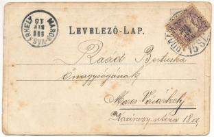 1901 Kolozsvár, Cluj; Mátyás király téri szobor. Szecessziós fémes hatású fóliás képeslap / statue o...