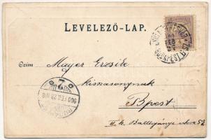 1900 Temesvár, Timisoara; Jenő herceg tér. Uhrmann Henrik kiadása, szecessziós fémes hatású fóliás k...