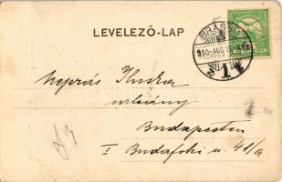 1910 Brassó, Kronstadt, Brasov; Hirser utca, Carl Dendorfer és Antaon Bros üzlete. montázs / Hirsche...