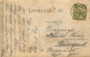 1907 Nagyősz, Nagy Ősz, Triebswetter, Tomnatic; üzlet belső, Pekarek-féle tea reklám / shop interior...