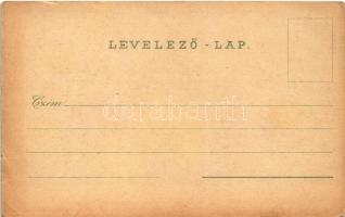 Mehádia, Mehadia; Várrom, pályaudvar, vasútállomás, Forrás utca, Brauch A. fia áruháza / railway sta...