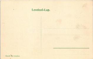 Dicsőszentmárton, Tarnaveni, Diciosanmartin; Rákóczy utca. Hirsch Mór kiadása / street