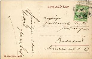 1911 Zsolna, Sillein, Zilina; Posztógyár. Lövy Fülöp kiadása / cloth factory + "ODERBERG-BUDAPE...