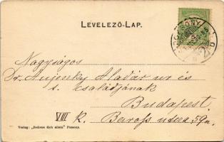 1905 Pozsony, Pressburg, Bratislava; Boldog új évet! Szecessziós montázs malac úrral. Bediene dich a...