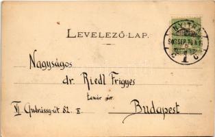 1903 Nyitra, Nitra; Kossuth tér, Nemzeti színház, piac / square, market, theatre