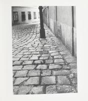 Batár Attila: A történelem, mint tervező. Egy bécsi utca - a Mölkersteig. Lucien Hervé képeivel. Wie...