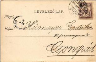 1901 Csendőrök sorgyakorlata. Stesser György csendőrőrnagy és Jablánczy Sándor csendőrség parancsnok...