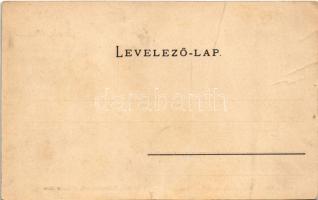 Kisvárda, Fő piac, utca, templom, Klein József üzlete, Kisvárdán Mauthner-féle magvak csakis Weinber...