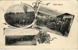 1912 Mór, szüret a szőlőben. Art Nouveau (EK)