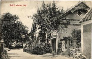 1928 Mór, szőlőskert és villa (EK)