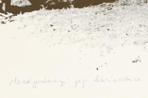 Bukta Imre (1952-): Mezőgazdasági gép háziasítása, 1979. Szitanyomat, papír, jelzett. 35×49 cm. Laps...