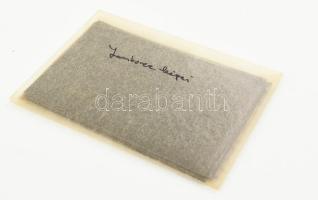 1933 Gödöllői cserkész jamboree, 9 db fotónegatív, 6×9 cm