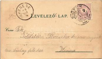 1899 (Vorläufer) Siófok, fürdőzők, étterem, park és sétány, telepi részlet, Balaton. Salamon Adolf k...