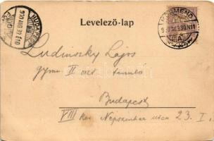 1900 Körmend, Hácker János szállodája a rózsához, étterem belső. Adolf Piehler Art Nouveau, floral (...