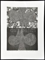 Feszt László, ifj. (1957-): Maori Serie No. VI., '82/97. Kollográfia, papír, jelzett, számozott...