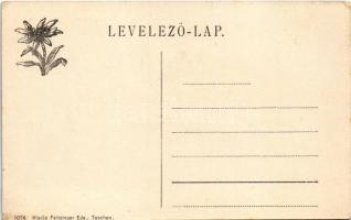 Tátrafüred, Schmecks, Smokovec (Magas-Tátra, Vysoké Tatry); Nagy szálloda előtti terasz. Feitzinger ...