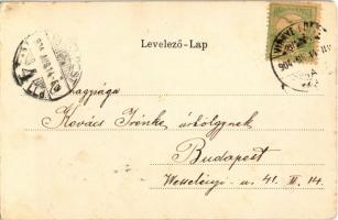 1904 Vihnye, Vihnyefürdő, Kúpele Vyhne; új fürdőház. Joerges özv. és fia kiadása / new spa. Art Nouv...