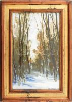 ifj. Keleti Jenő (1943-1999): Havas út. Olaj, farost, jelzett, hátoldalán Képcsarnok Vállalat címkéjével. Üvegezett fakeretben, 33×21 cm