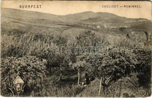 Budapest XII. Zugliget, erdő (EB)