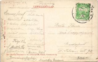 1912 Diósgyőr (Miskolc), várrom. W.L. Bp. 1115. 911-13. Özv. Majtényi Mártonné kiadása