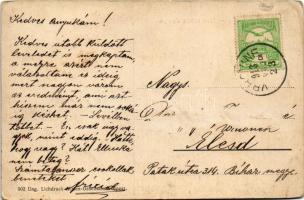 1913 Plitvicka Jezera / a tó és a fürdő / lake and spa (felszíni sérülés / surface dmaage)