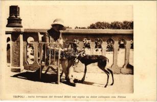 Tripoli, Sulla terrazza del Grand Hotel un' ospite in dolce colloquio con Titina (EK)