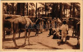 Tripoli, Suk el Giumba (Mercato di Camelli) / camel market