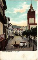 Madeira, Rua do Aljube / street, shops, oxen passenger sleigh, sled (EK)
