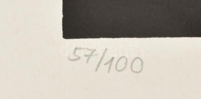 Szász Endre (1926-2003): Szürrealisztikus hölgy. Színes szitanyomat, papír, jelzett, számozott (57/1...