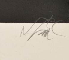 Szász Endre (1926-2003): Szürrealisztikus hölgy. Színes szitanyomat, papír, jelzett, számozott (57/1...