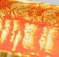 FA jelzéssel: tigris mázas tálka. Kézzel festett, jelzett, hibátlan 12x21 cm