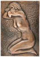 Akt fali disz. Jelzés nélkül plasztikus fém, bronzírozva 20x29 cm