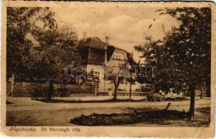 1942 Tápióbicske, Dr. Herczegh Villa (r)
