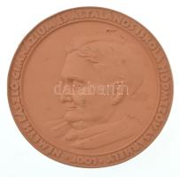 2001. "Németh László Gimnázium és Általános Iskola, Hódmezővásárhely" egyoldalas terrakotta emlékplakett. Szign.: BKE (105mm) T:XF kis anyaghiány
