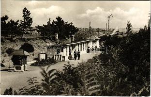 Balatonakarattya, vasútállomás, gőzmozdony, vonat. Képzőművészeti Alap (EK)