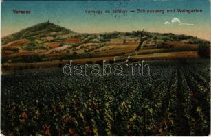 1917 Versec, Vrsac; Várhegy szőlőkertekkel. Gábor Lajos kiadása / castle hill, vineyards, villa