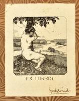 Porzó (Ágai Adolf): Utazás Pestről-Budapestre 1843-1907. Rajzok és emlékek a magyar főváros utolsó 6...