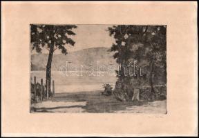 Biai-Föglein István (1905-1974): Dunapart. Rézkarc, papír, jelzett. 19,5×29,5 cm