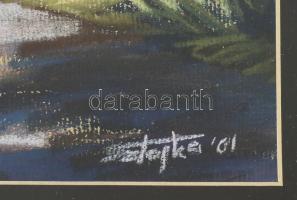Sztojka Ferenc (?-): Erdélyi táj (Hargita környéke), 2001. Pasztell, papír, jelezve jobbra lent. 37x...