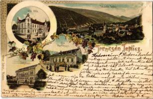 1900 Trencsénteplic, Trencianske Teplice; Jorgahaus, Villa Atilla, Villa Martinovics / fürdő látképe, nyaralók / general view, villas, spa, bath. Ottmar Zieher. Art Nouveau montage with grape vines, litho (felületi sérülés / surface damage)