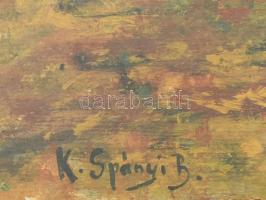 K. Spányi B. jelzéssel: Vízparti táj. Vegyes technika, karton. Üvegezett fakeretben. 22x40 cm